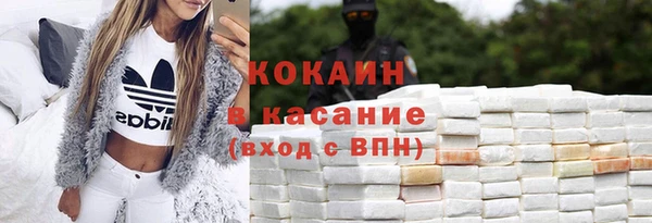гашик Алексин