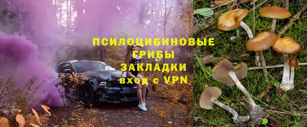 гашик Алексин
