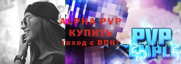 гашик Алексин
