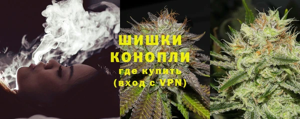 шишки Алзамай