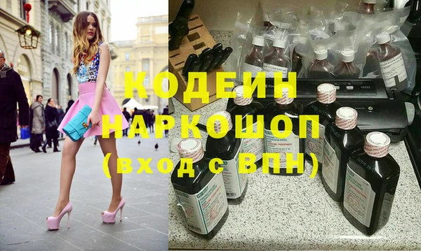 гашик Алексин