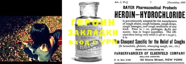 гашик Алексин