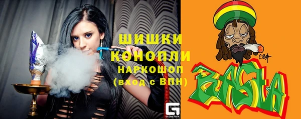 шишки Алзамай