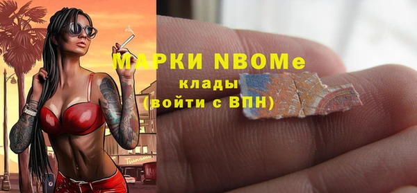 шишки Алзамай