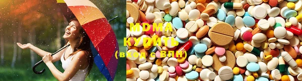 шишки Алзамай