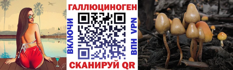 Псилоцибиновые грибы ЛСД  Грайворон 